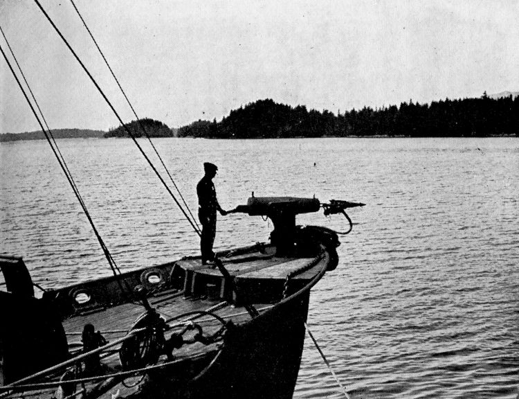 Whale Harpoon Gun loaded and being turned so as to point at the Whale.