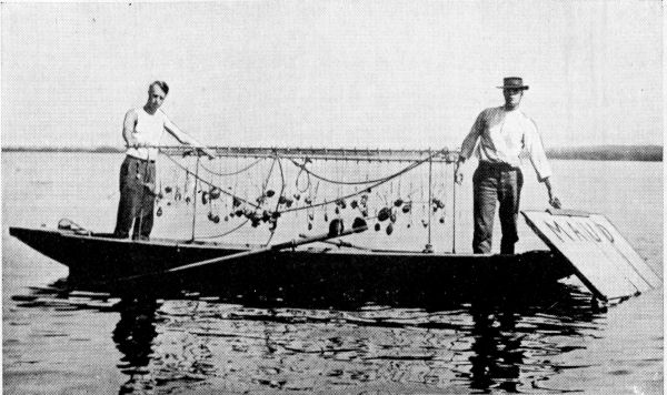 Clamming on the Mississippi.