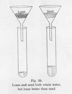 Fig. 29.  Loam and sand both retain water, but loam better than sand