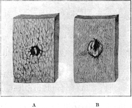 Fig. 16.