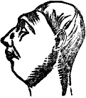 Profile of a woman with rather shallow head.