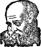 Old man with large head and flowing beard.