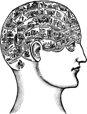 Head labelled with the ‘Faculties of Intelligence’ (which follow) and an illustration of each (unclear).