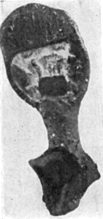 Fig. 841.