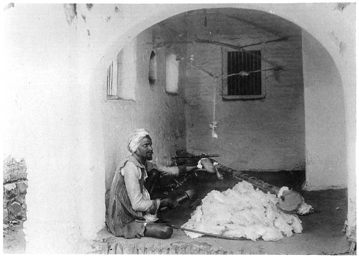 Pinjāra cleaning cotton.