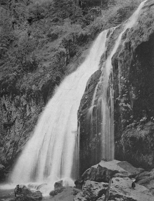 Falls of the Little Mashell River.