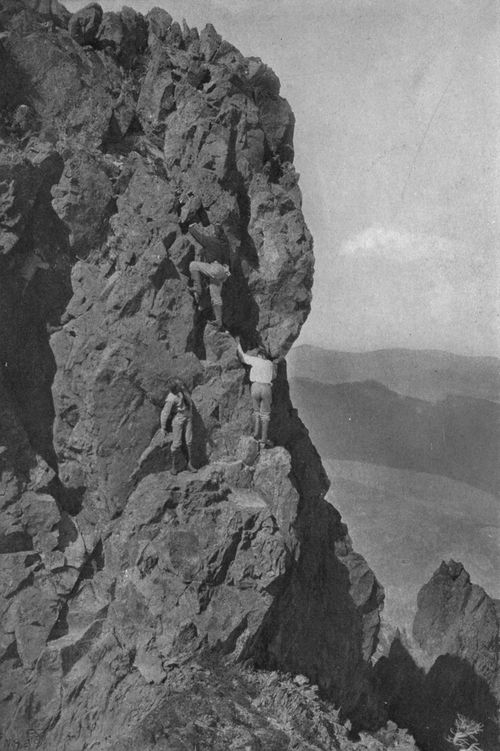 Climbing the "horn" on the summit of Unicorn Peak.