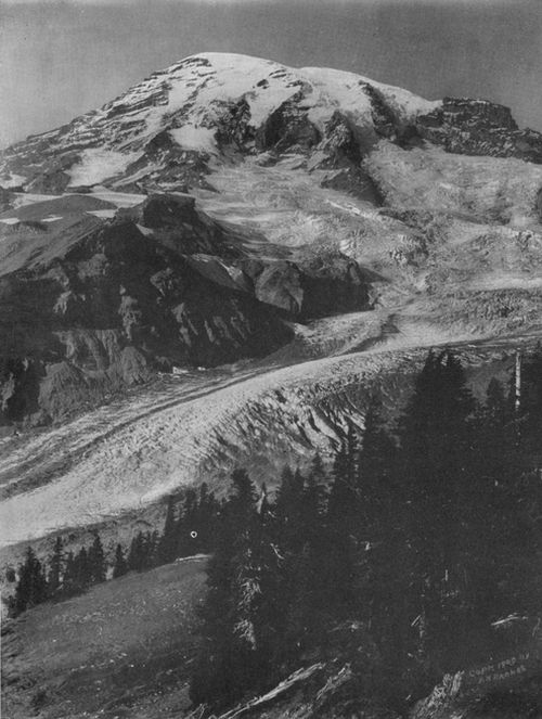 Nisqually Glacier.