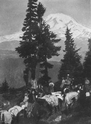 The Mountain seen from the top of Cascade range.