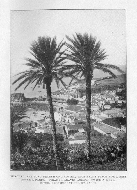 FUNCHAL THE LONG BRANCH OF MADEIRA; NICE BALMY PLACE FOR A REST AFTER A PANIC.  STEAMER LEAVES LONDON TWICE A WEEK.  HOTEL ACCOMMODATIONS BY CABLE