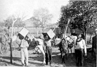 Author's Men packing Animals.