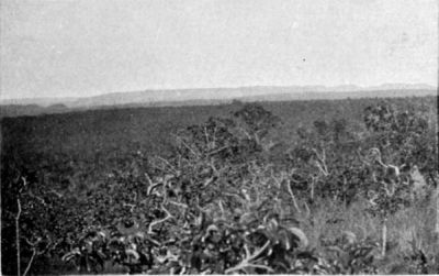 Typical Flat-topped Plateau of Central Brazil.