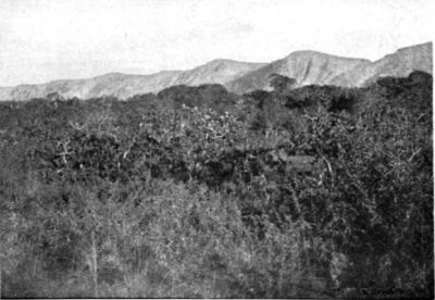 Volcanic Scenery of Matto Grosso.