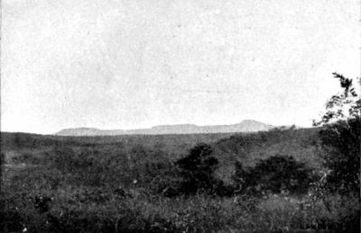 Typical Brazilian Plateau, showing Work of Erosion.