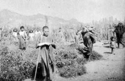 A Bororo Blind Woman.