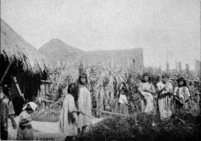 Bororo Women.