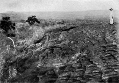 Geometrical Pattern on the Surface of a flow of Lava.