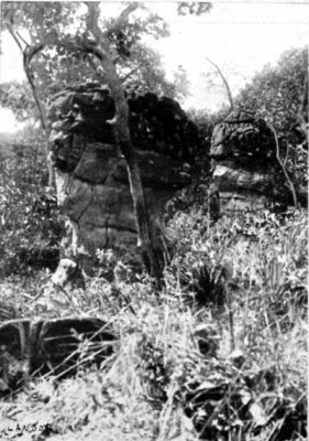 Mushroom-shaped Rocks of Volcanic Formation.