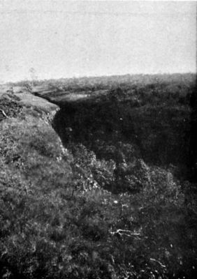 A Great Earthquake Fissure in the Terrestrial Crust (Matto Grosso).