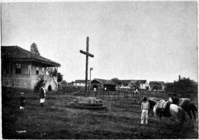 Antonio Prado's Coffee Estate.