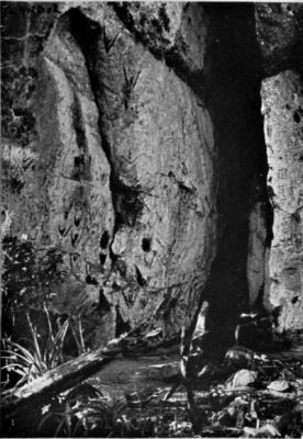 Strange Rock-Carvings of Matto Grosso.