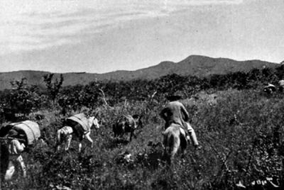 Author's Caravan marching across Trailless Country.