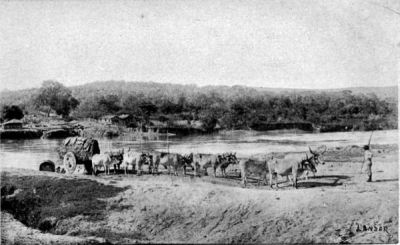 Picturesque Ox-carts of Goyaz.