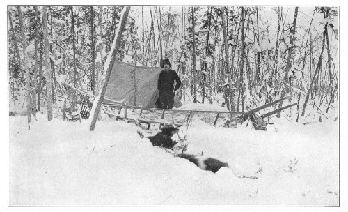 The rough breaking in of Doctor Loomis, camped on the mail trail at 50° below zero, unable to reach a road-house for the deep snow.