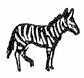 zebra