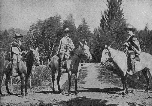 Vaqueros Chilenos