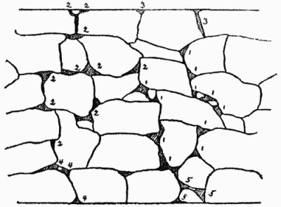 Planting plan of dry wall, the dark portions representing the chief earth-filled crevices. The plants are: 1—Arabis albida; 2—Alyssum saxatile; 3—House leek (sempervivum); 4—Viola tricolor; 5—Armeria maritima