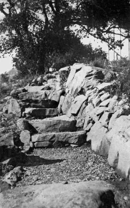 Wherever possible make the entrance to the rock garden a rough flight of steps. Excavate if necessary. Plant the step crevices as well as those of the side walls