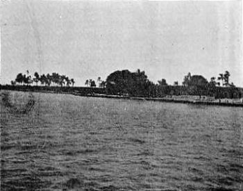 Distant View, Khartoum (from Blue Nile).