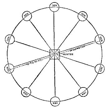 diagram: Fox Trail (Single Rim)