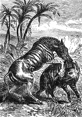 THE QUAGGA AND THE HYENA.