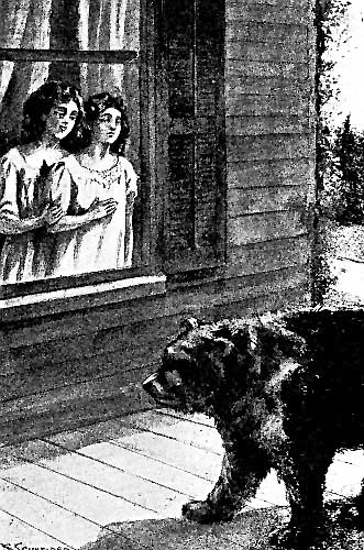 The great animal had now dropped from its upright position at Dolly’s window and was crawling on all fours back along the wide porch. (Frontis) (Dorothy on a Ranch)