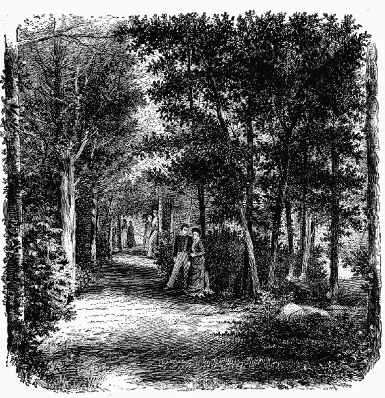 FLIRTATION PATH. (Photographed by G. W. Pack.)