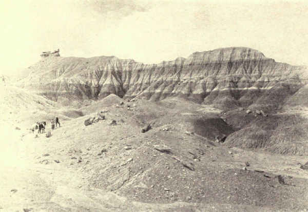 THE PETRIFIED FOREST OF ARIZONA