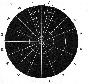Fig. 208.—Pakes' disc, reduced.