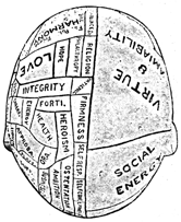 Top view of the same head. The left side has many more words and lines than the right side.