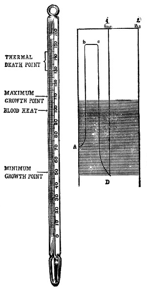 Fig. 28.