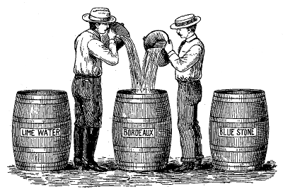 FIG. 42—PROPER WAY TO MAKE BORDEAUX (From W. G. Johnson)