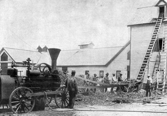 A SILO ON THE FARM.  Students filling it with fodder corn, steam-power being used.