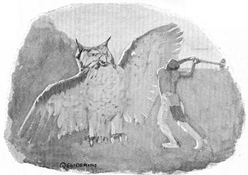 STAR BOY ATTACKED BY HINHAN, THE OWL.  Page 215