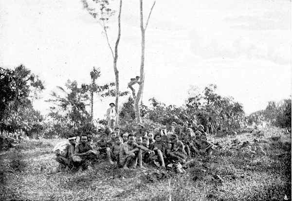 A large group of Sakai