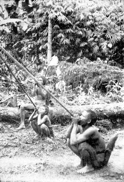 Boys shooting blowpipes