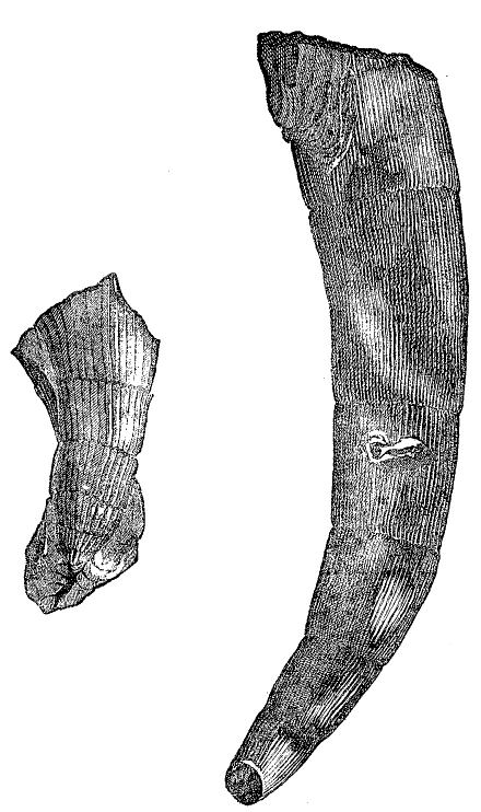 Fig. 91.