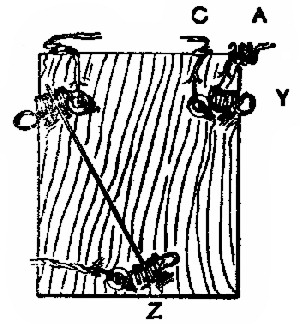 Fig. 22.