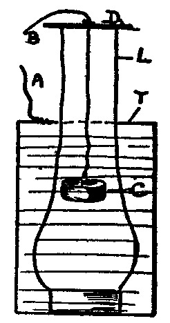 Fig. 80.