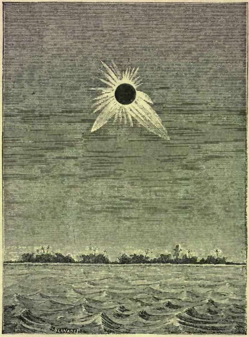 FIG. 7.—The Corona during the Eclipse of May 1883.